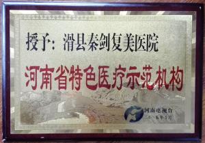 河南省特色医疗示范机构